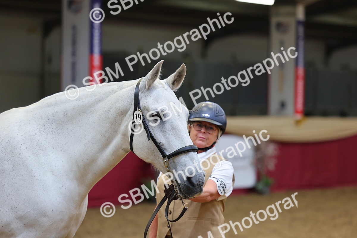 SBM_22737 - Class 903 - Supreme Final - IH Pre Vet