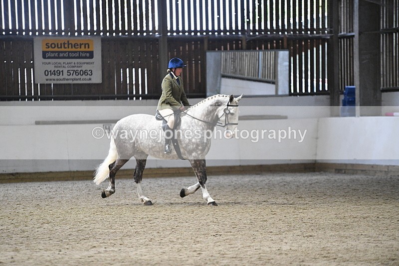 WJ5_8235 - Class 14 Novice Ridden/Rider