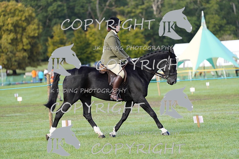 _DSC9323 - Class 8 & 17 Ridden Hunter & Ridden Hunter Pony
