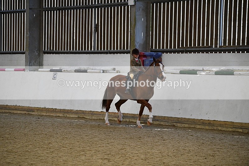 WJ5_6009 - Class 9 Ridden Veteran