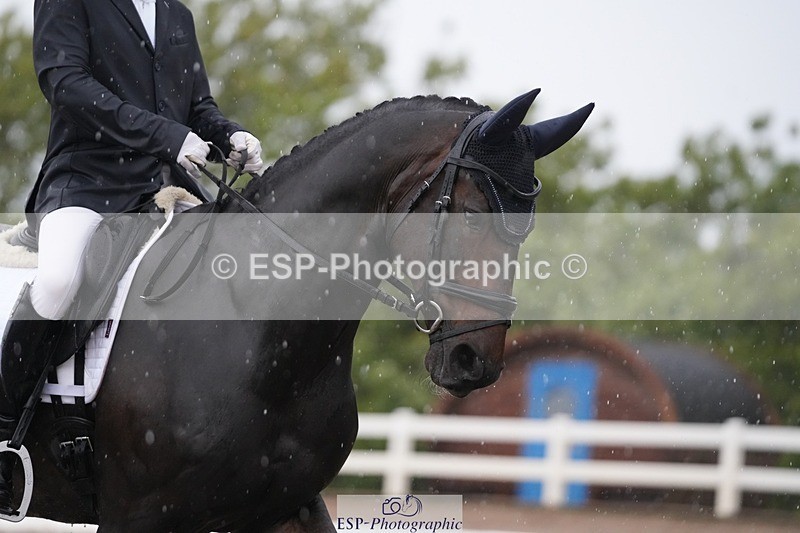 250907-082756-05450 - 038-Greg.DickensBrutus.G