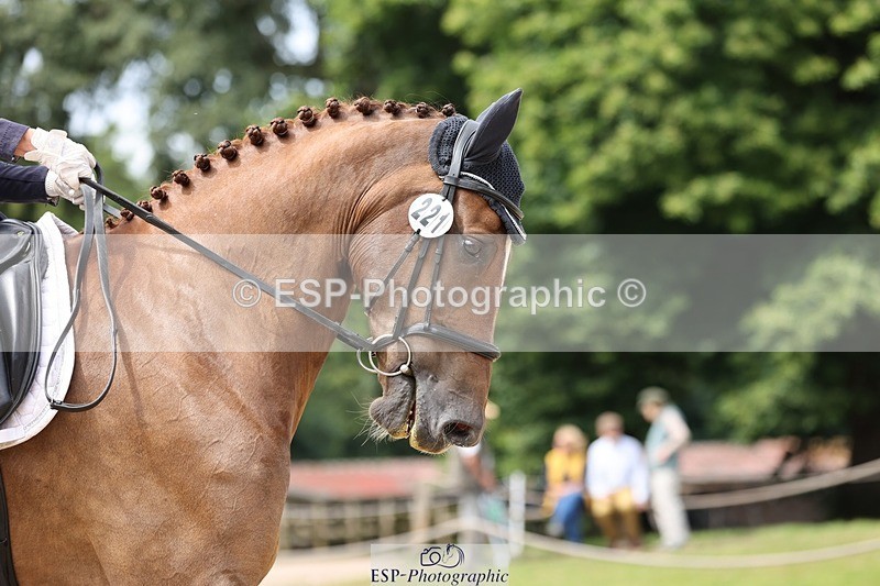 240721-121821-08587 - 221-Gillian_Hill-Dunaire_Hugo