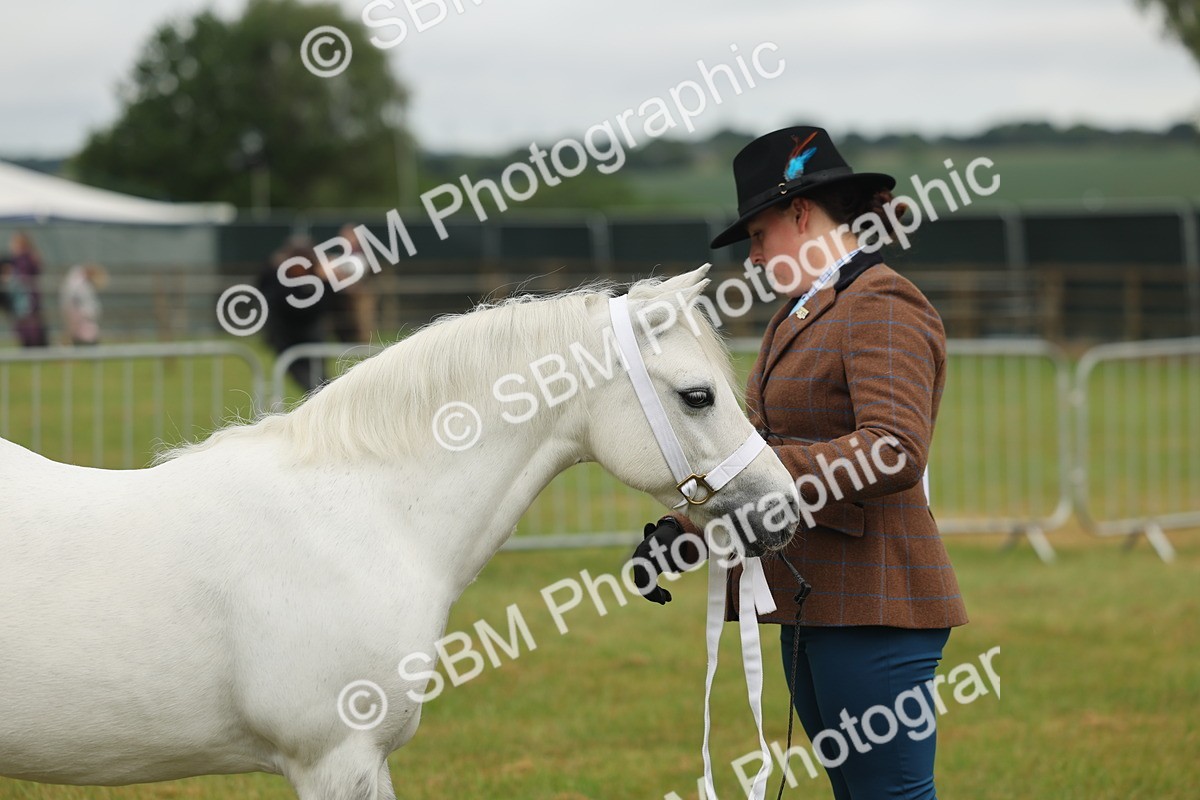 SBM_01591 - Class 50-57 - M&M Welsh Pony In Hand