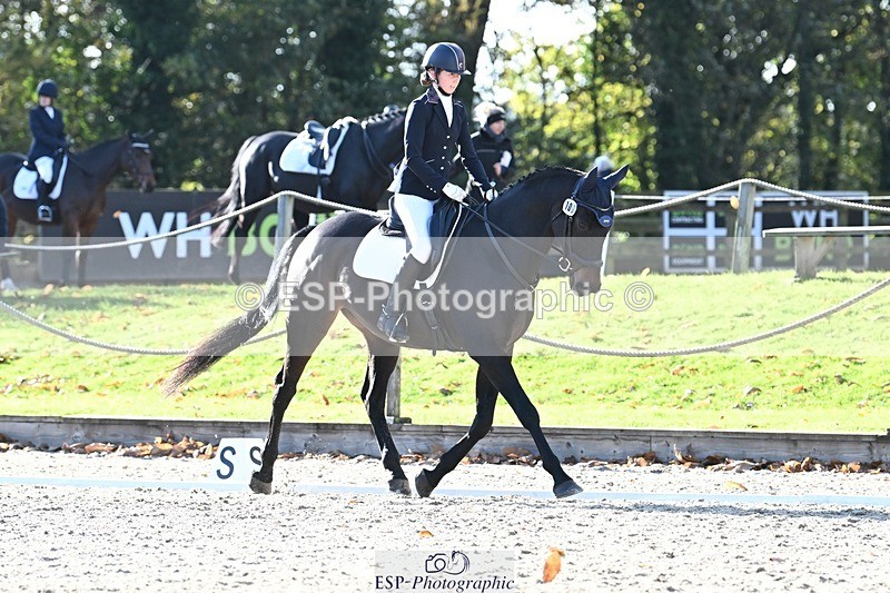 231110-125620-00825 - Cls 3 Novice 22