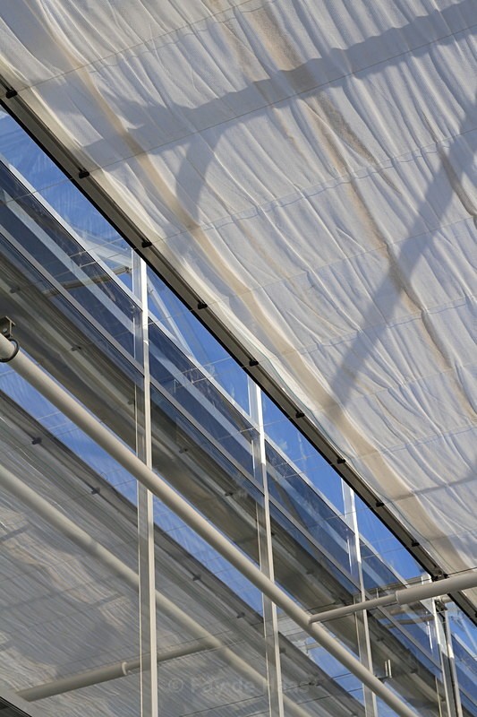 IMG_4599 - Manmade lines