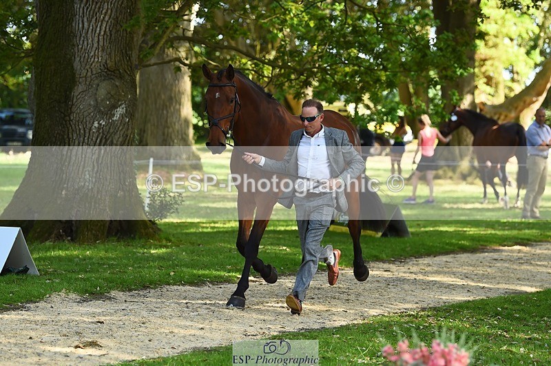 230524-164830-01099 - 116-MONBEG_DARWIN-Michael_Owen-WEDTrotUp+DR