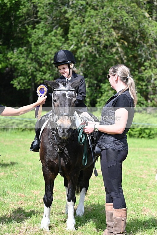 WJ7_0894 - Class 8 First Rally Pony