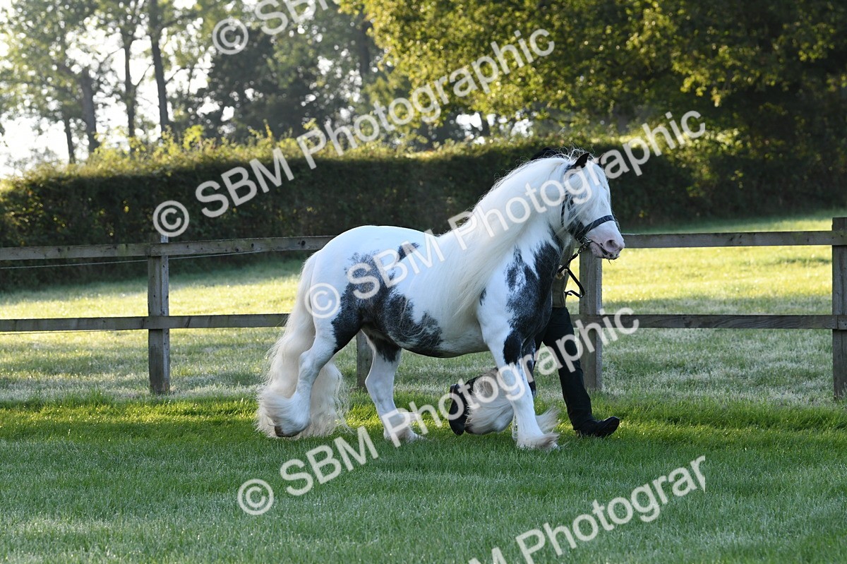 SBM_32553 - S15 - Condition & Turnout In Hand