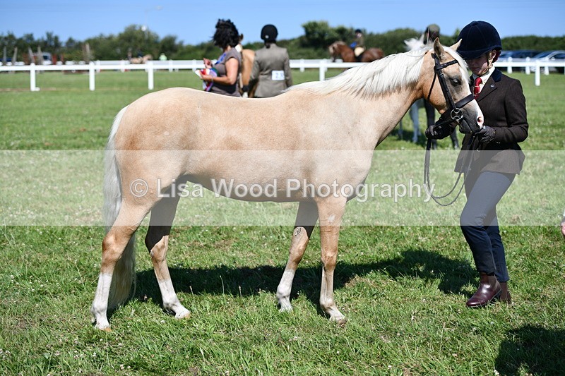 DSC_6480 - Class 53: NPS M&M 4 years and over Small Breeds