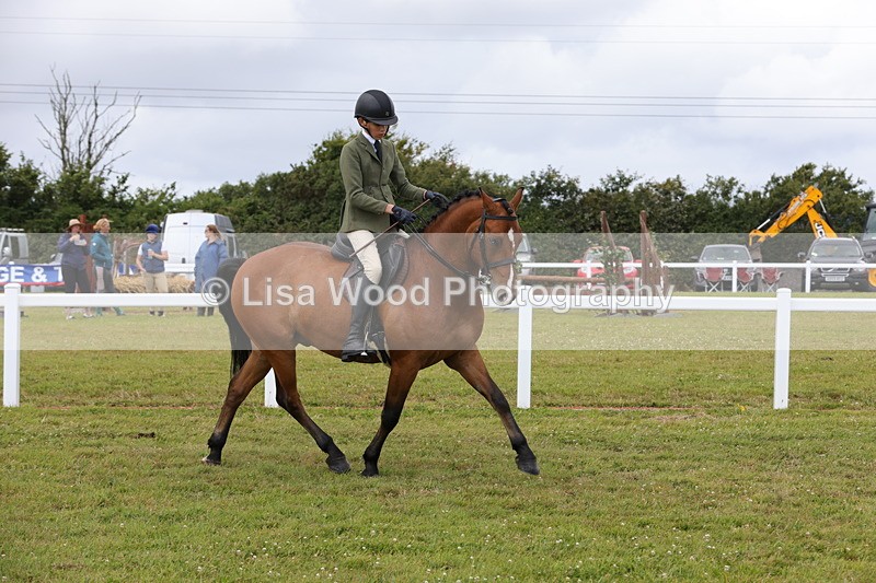1X9A4239 - Plaited Ridden Championship