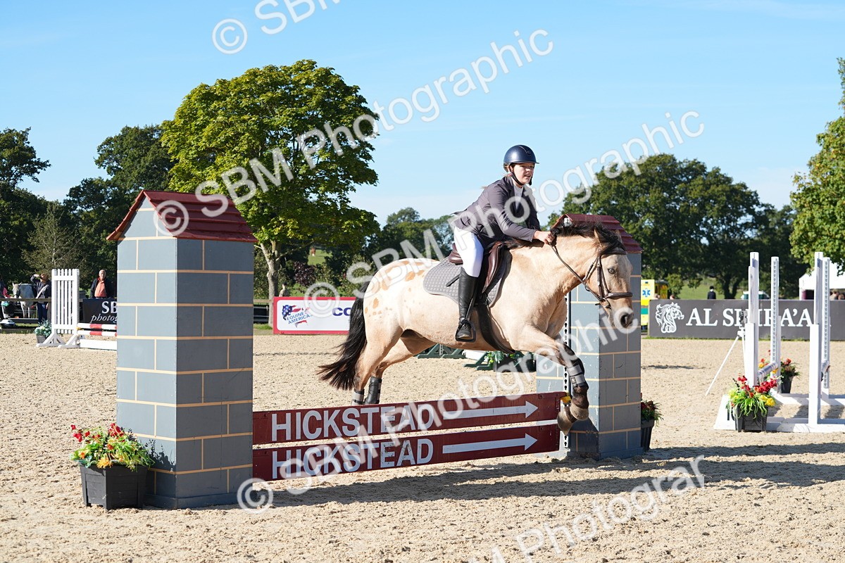 SBM_36106 - J 20 - Junior Horse 50cm Championship