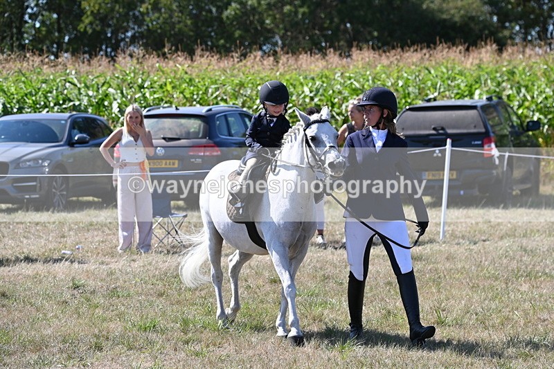 WJ6_8024 - Class 36 Lead Rein