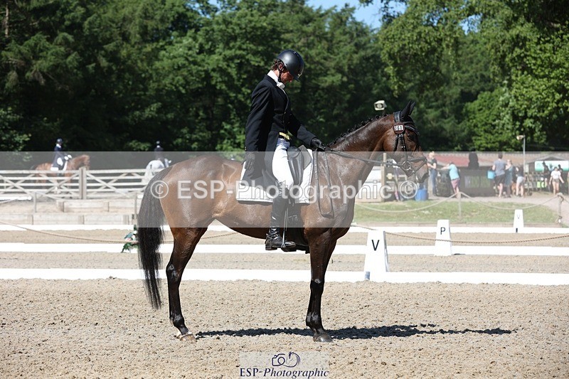 230526-102915-05268 - 361-FINCH_FANCY-Ben_Lee_Liles-WEDTrotUp+DR