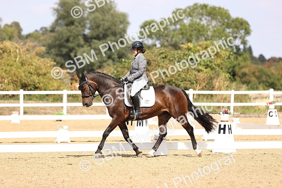 SBM_015012 - Class 6 - Elementary 5