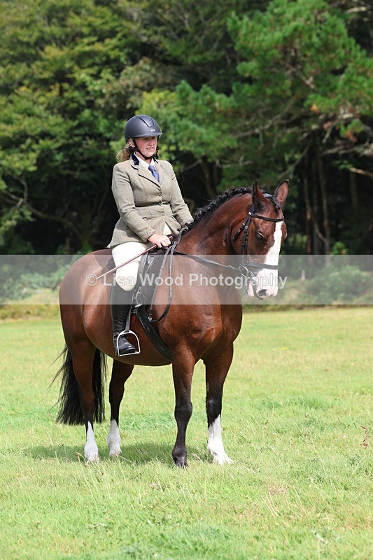 3E7A5888 - Class 26 and 27: 70cm Working Hunter