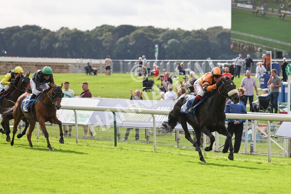 yr24092021r1-111 - Race 1 1.10pm Ernest Cooper Macmillan Ride of Their Lives