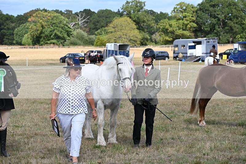 WJ6_6775 - Class 20 In-hand Cob