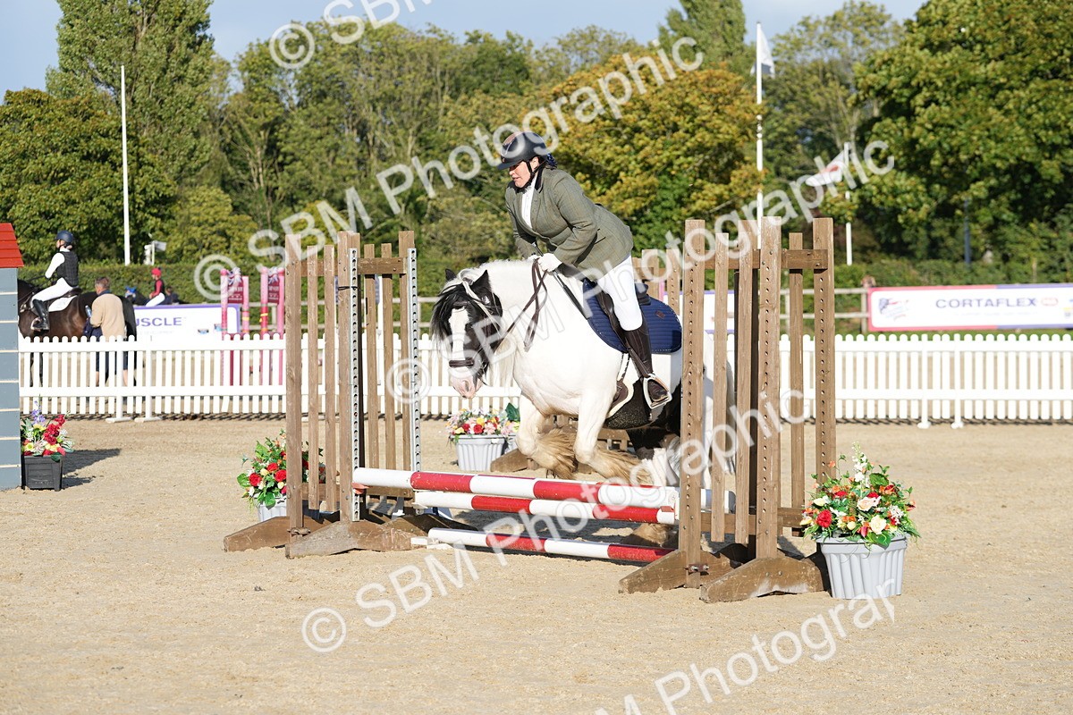 SBM_28966 - J43 - Horse & Hound Open 50cm