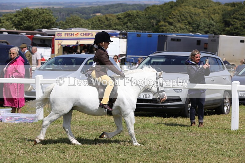 1X9A5332 - Class 37: NPS M&M First Ridden