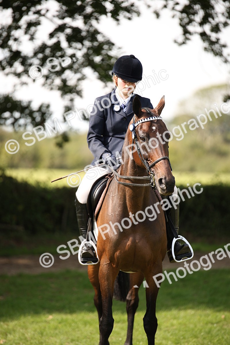 SBM_65975 - S64 - Riding Horse & Hack & Thoroughbred Ridden
