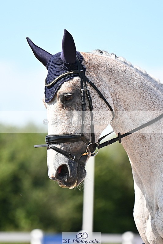 240816A-145627-05537 - 293-Layla.Ambersley-Broadbent-Galwaybay.Buddy