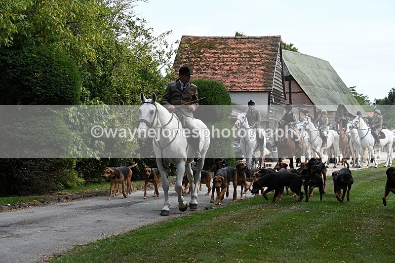 WJ6_3918 - Berks & Bucks - The Old farmhouse - Hound Exercise 20-08-25