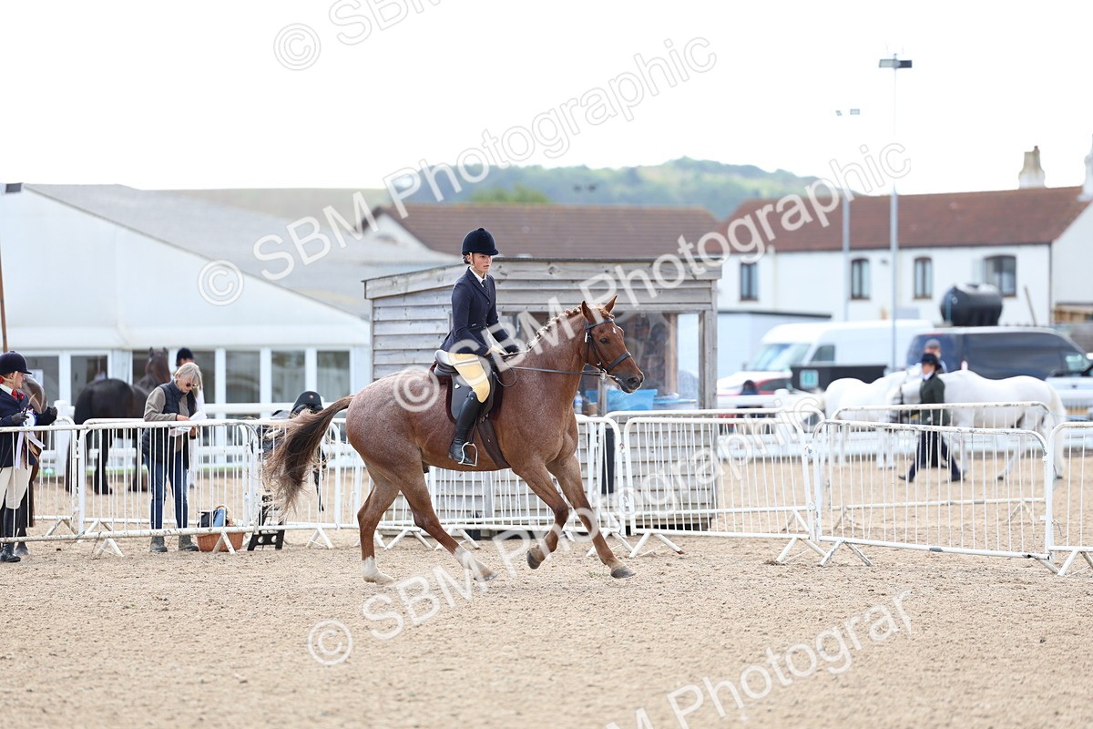 SBM_10112 - Class 304 - Ridden Part Bred Horse Pony