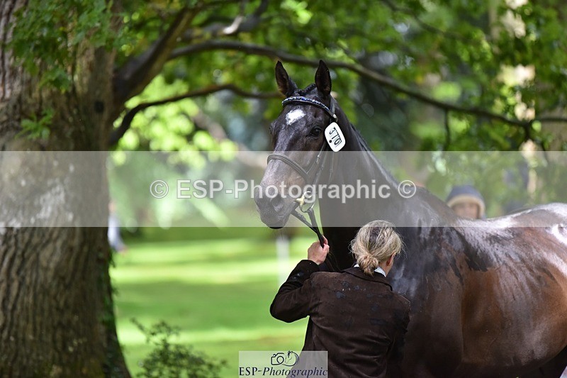 240522-153840-00493 - 370-STORM_IN_DECEMBER-Claire_Fielding