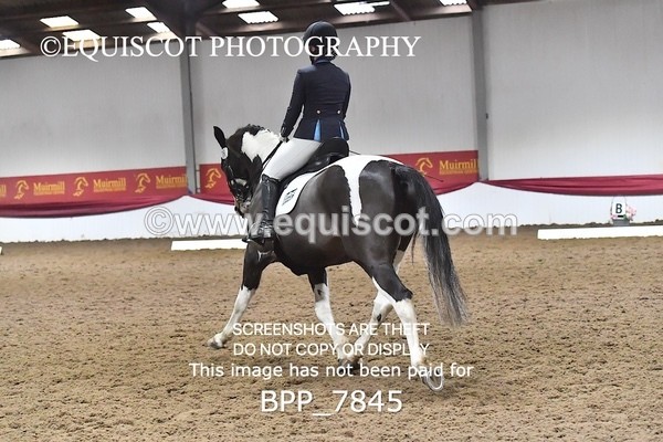 BPP_7845 - ELEM TEST 6