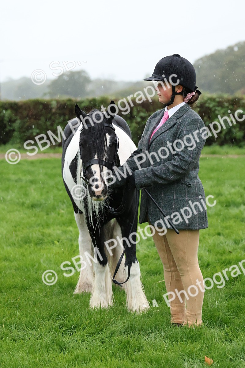 SBM_35359 - S10 - Best In Hand Horse & Pony
