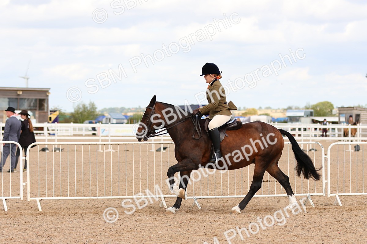 SBM_15508 - Class 214 - Ridden Show Cob