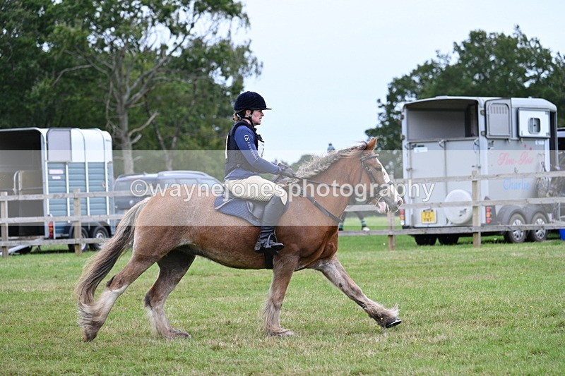 WJ7_7734 - 40cm Time 10:49 to 11:18