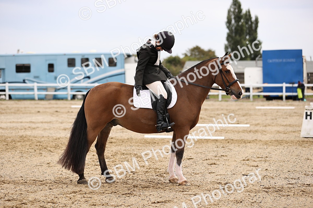 SBM_001221 - Prelim 3