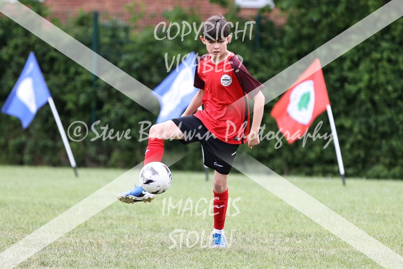 1DX30866 - Brook Field V Goddard Park