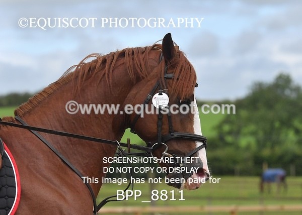 BPP_8811 - CLASS 4  Senior Discovery/ 1m Open