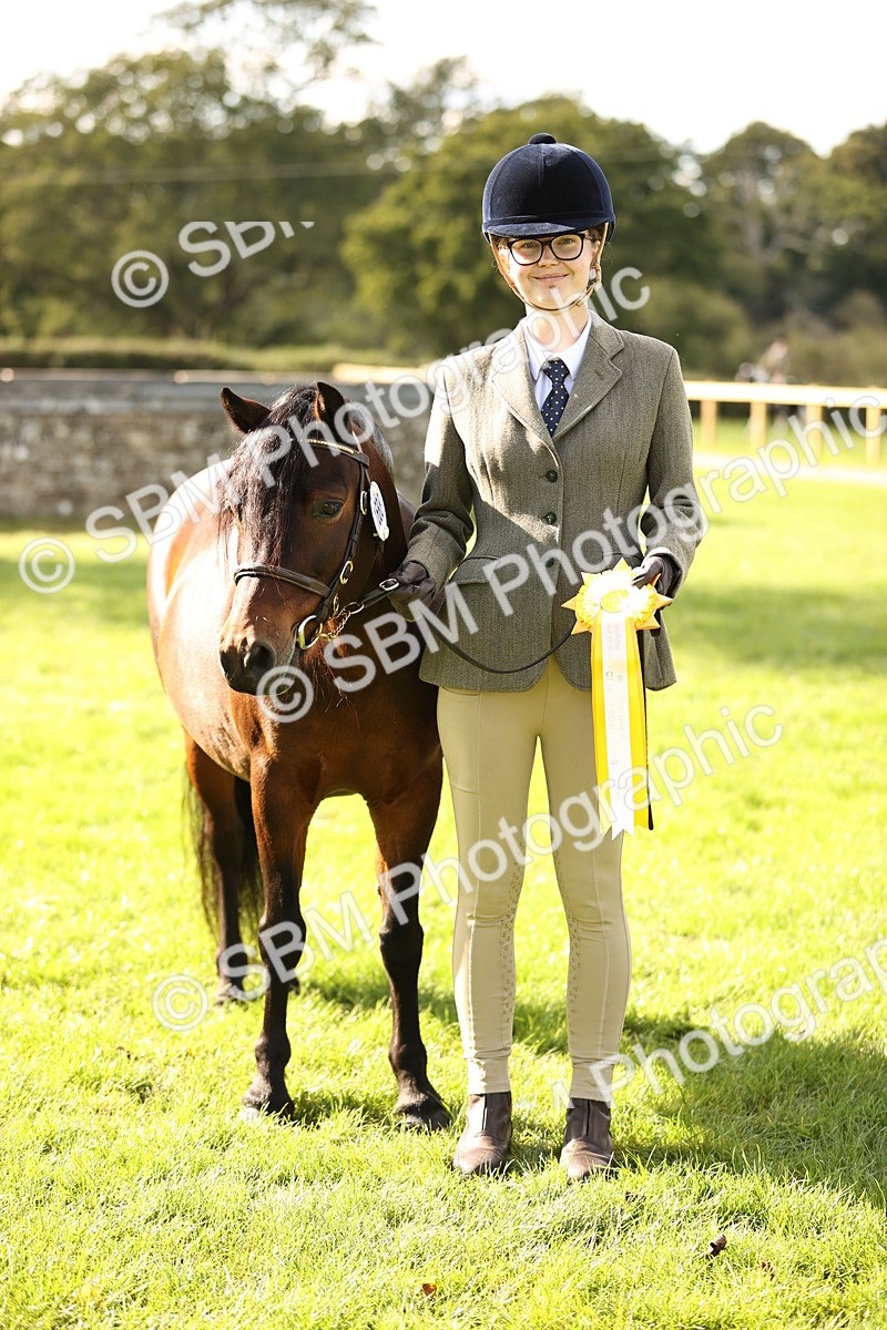 SBM_26293 - S5 - Novice & Newcomers In Hand