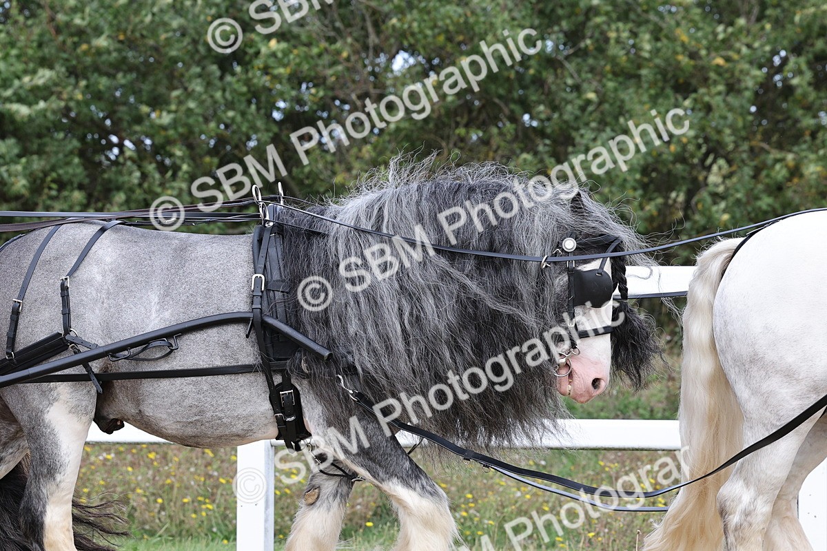 SBM_001139 - Class 16 - Pairs ,Multiples and Tandems