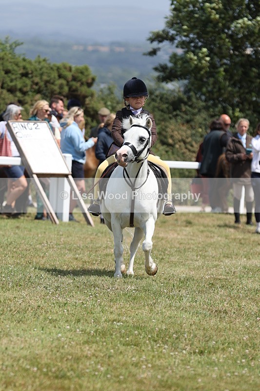 JPP_1824 - Class 18: Tiny Tots Working Hunter Pony