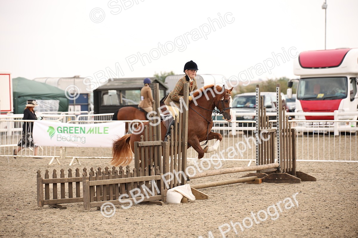 SBM_12256 - Class 405a - M&M Working Veteran 50cm (15-19)