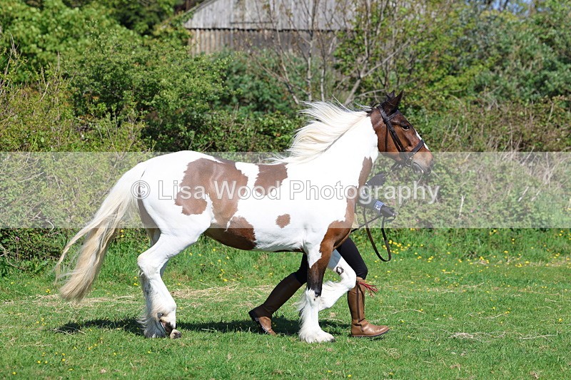 3E7A9365 - Class 16: Best Grass Kept