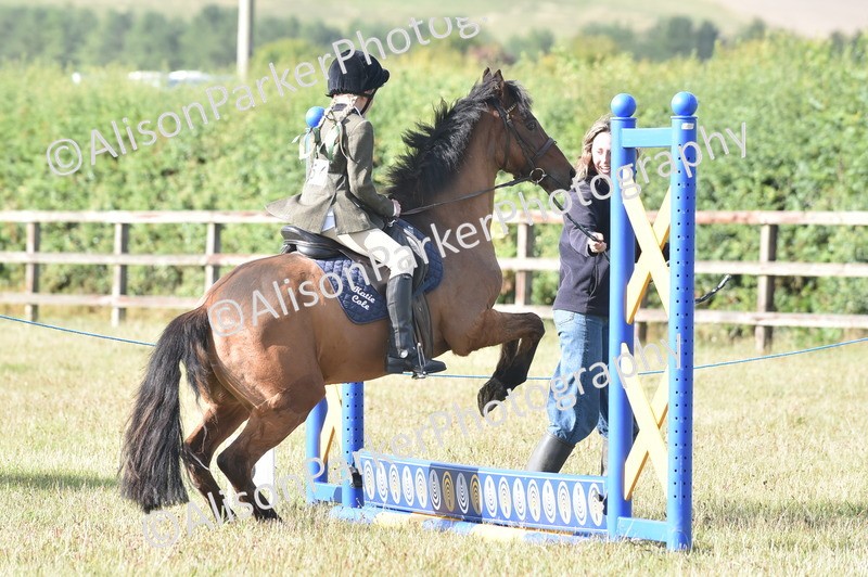 20250831-0279 - Class 6 - Minimus Jumping 30cm