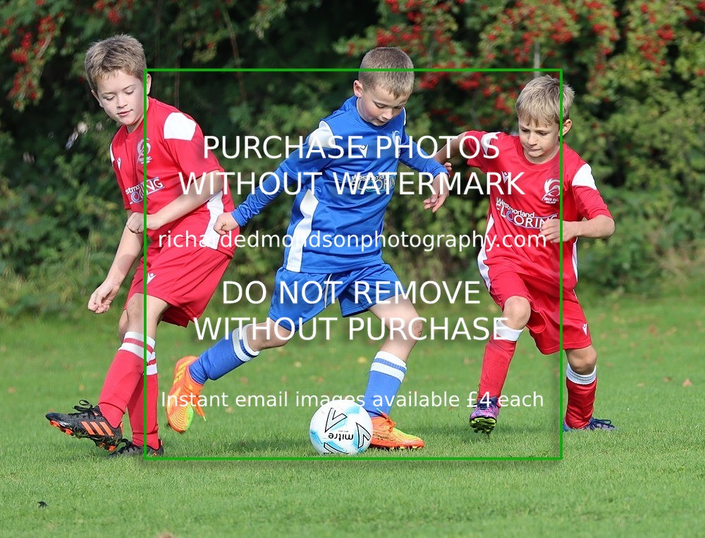 IMG_4669 - Ibis U9 v Ibis United U9 (Saturday 24 September)