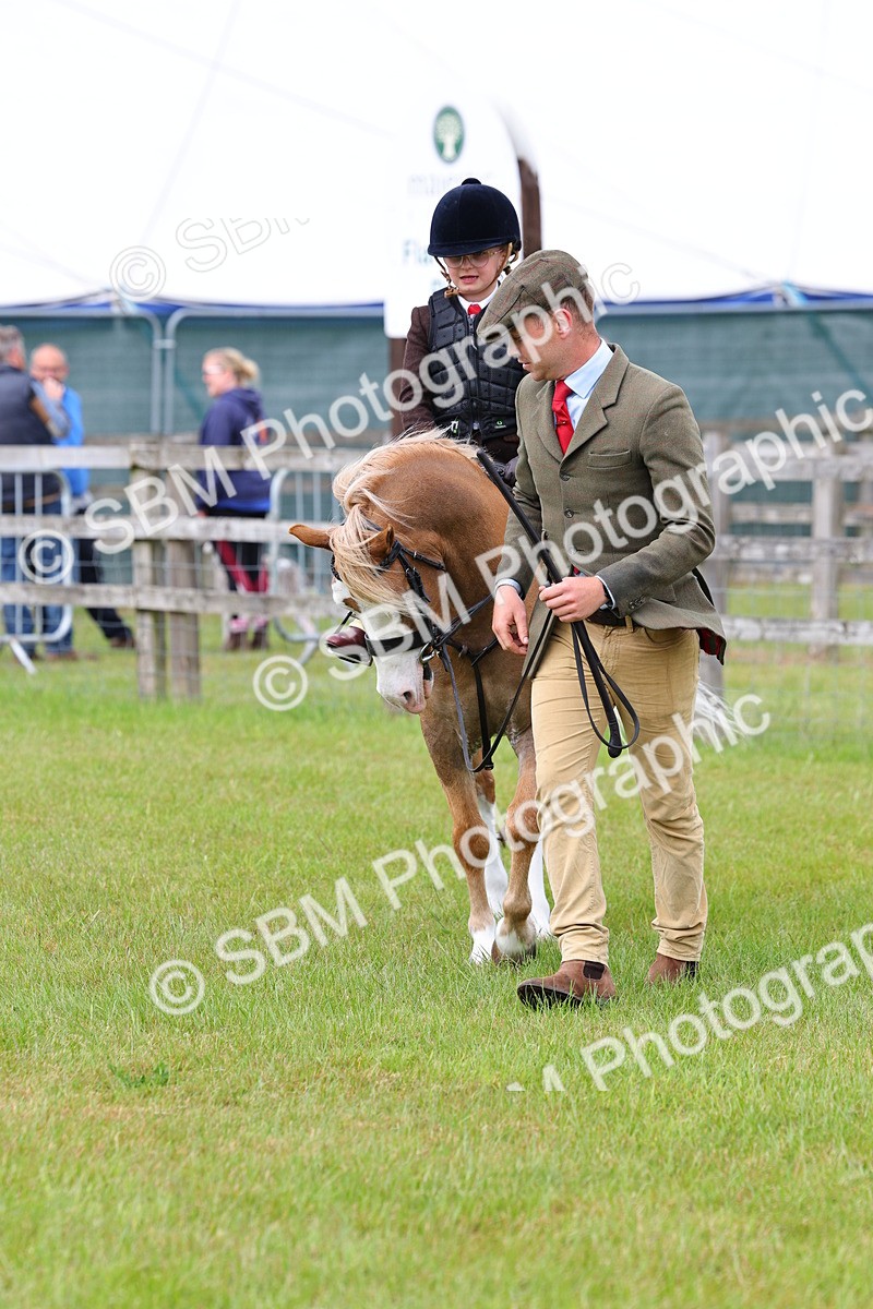 SBM_08172 - Class 42-43 - LIHS BSPS Heritage Working Sports Pony
