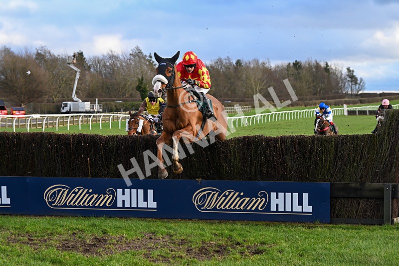 020224-Race 4-Treaty Boy-8335 - Race 4