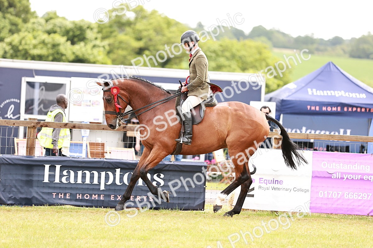 SBM_11591 - Class 81-84 - RIHS Ridden hunters Inc Ladies Hunter