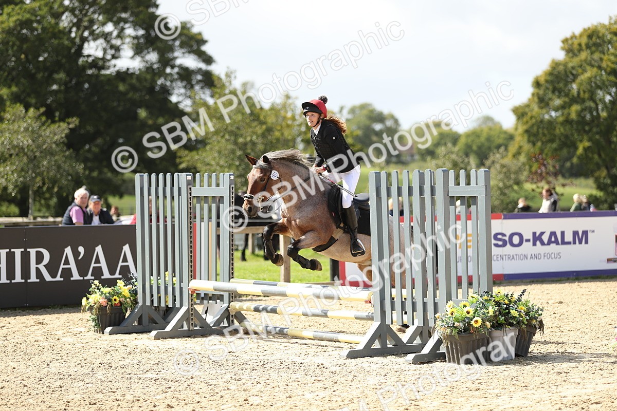 SBM_05641 - J35 - Veteran Rider 60cm