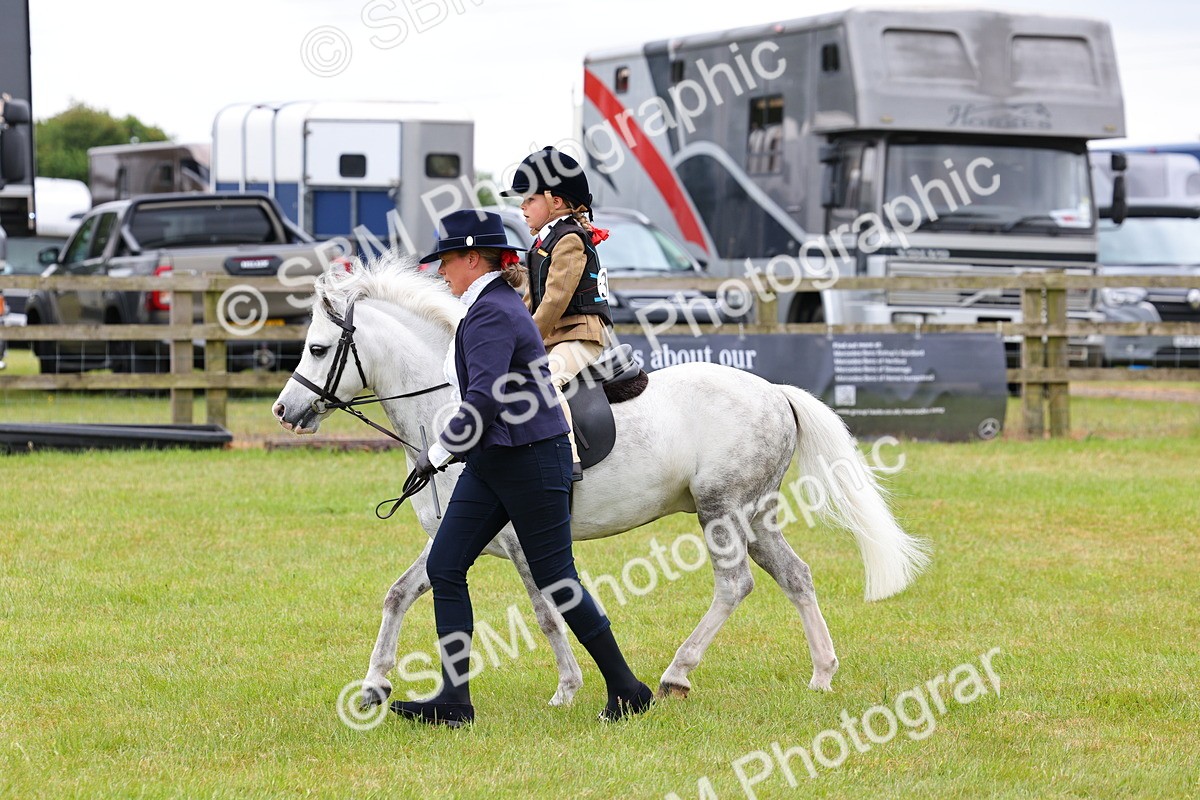 SBM_08125 - Class 42-43 - LIHS BSPS Heritage Working Sports Pony