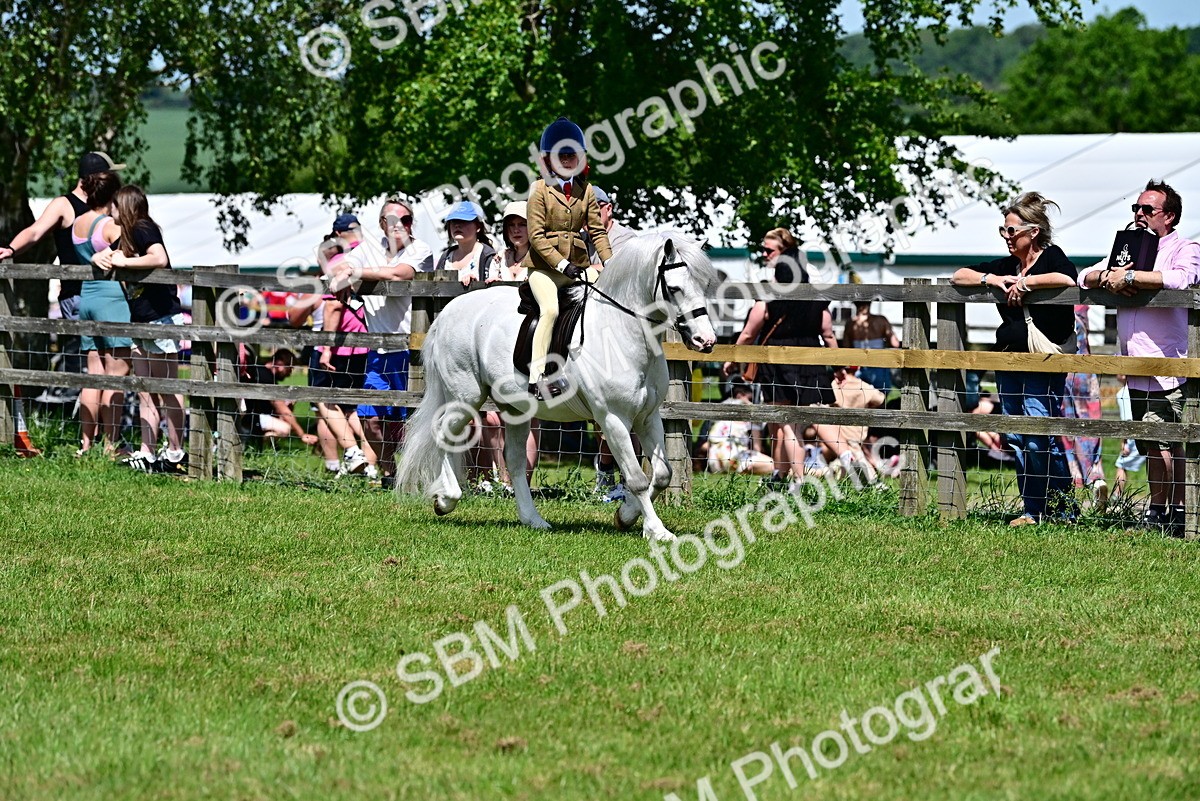 SBM_06076 - Class 59-60 - TSR M&M  Lear Rein and First Ridden Amateur of the year