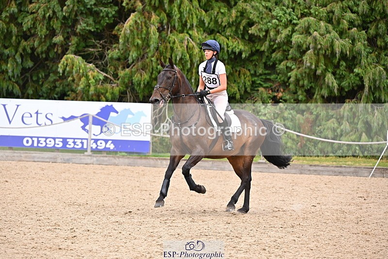 250802A-153706-06361 - F-288-Emilia.Wharton-SIR.LARRY.II