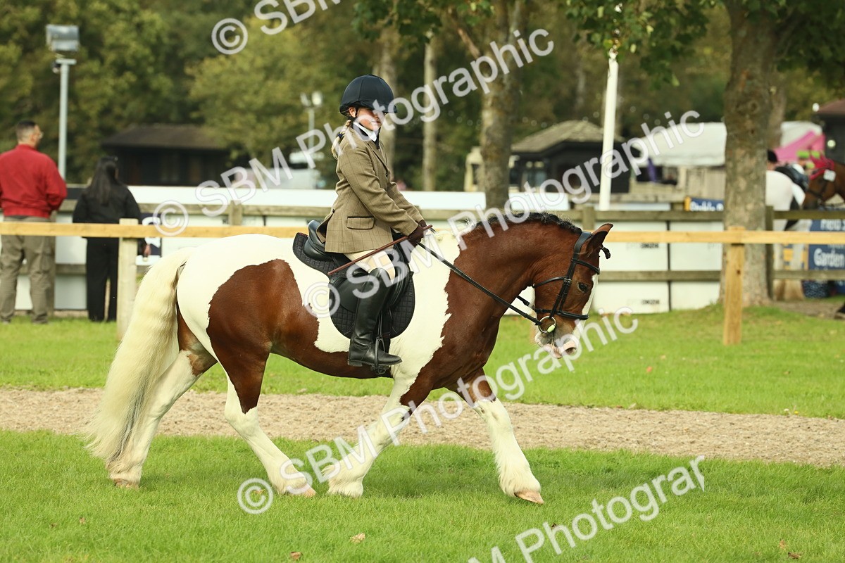 SBM_68228 - S58 - Mini Show Cob Ridden
